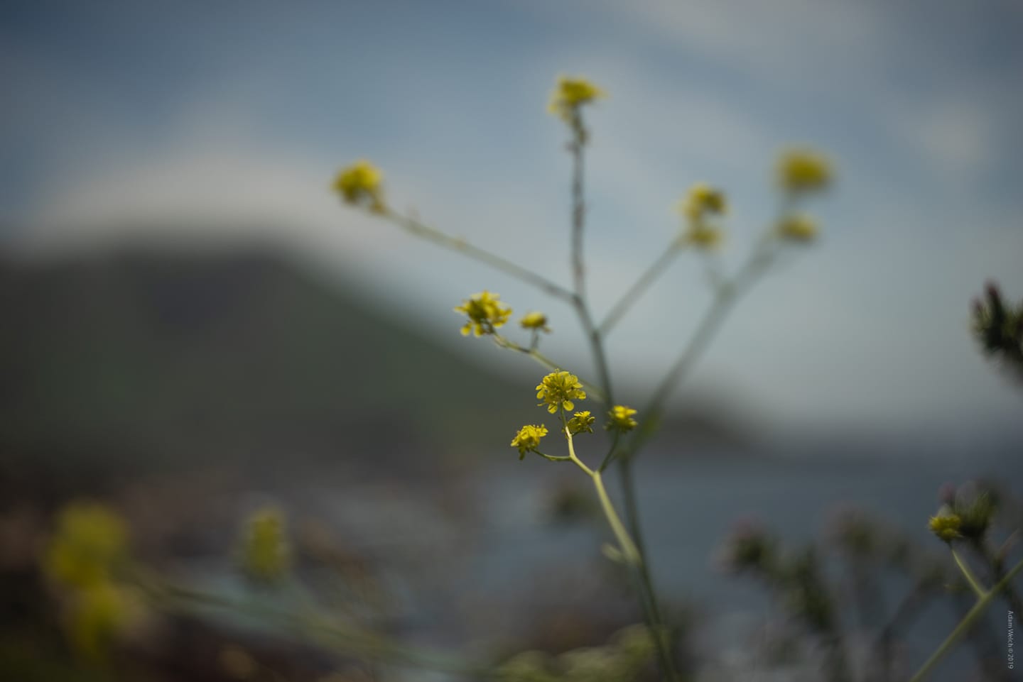 Big Sur - Before