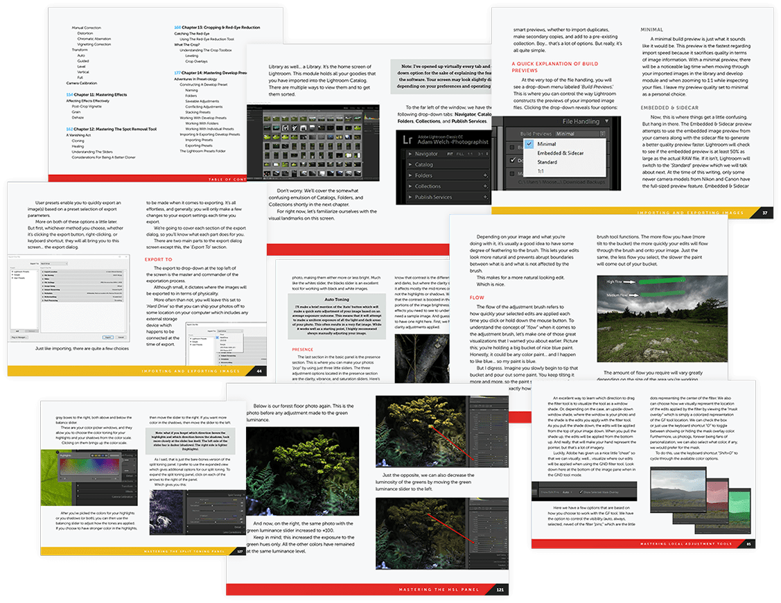 Lightroom Mastery Pages